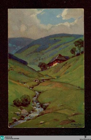 Sommer im Schwarzwald