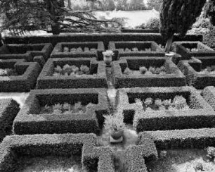 Garten der Villa Massei — Giardino italiano