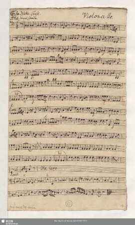 Violoncello