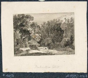 Blick in den Rabenauer Grund bei Tharandt