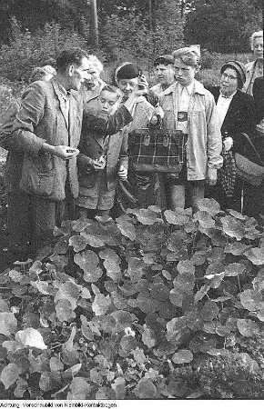 Gartenbau und Landwirtschaft. Dresden, Pillnitz. Versuchsanstalt? Mimosen / Getreidemühle / Viehhaltung u.a., September 1956 - Mai 1957