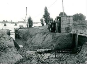 Rheindüker, 1955-1969