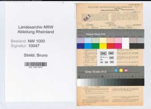 Entnazifizierung Bruno Strebl, geb. 23.04.1900 (Verw.Angest.)