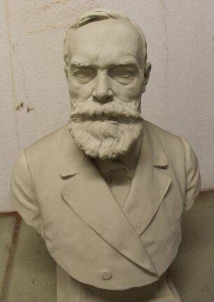 Porträt Theodor Alexander Georg Ludwig von der Goltz