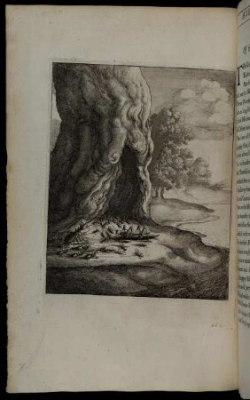 [Ill.] Fab. 12. - W. Hollar fecit 1666