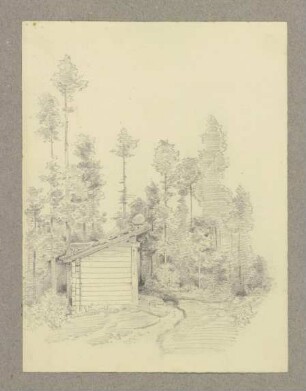 Hütte im Wald
