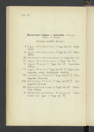 Tab. 32 Bacterium vulgare beta mirabilis