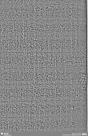 Wasserzeichen S.13_14