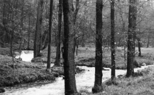 Triebischtal-Roitzschen. Die Triebisch bei der Neidmühle