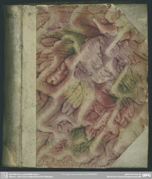 Observationum Theologicarum Pentas III De Haeresi, Juxta S. Scripturae Sensum