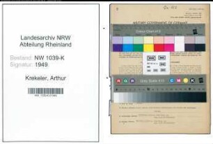 Entnazifizierung Arthur Krekeler , geb. 29.11.1891 (Geschaeftsfuehrer)