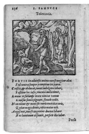 Tolerantia.