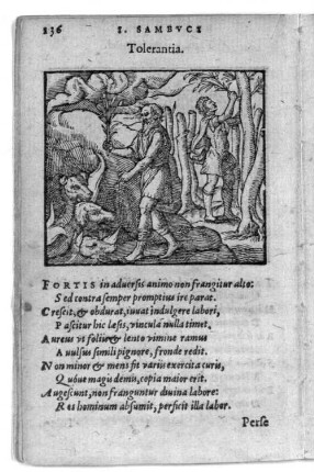 Tolerantia.