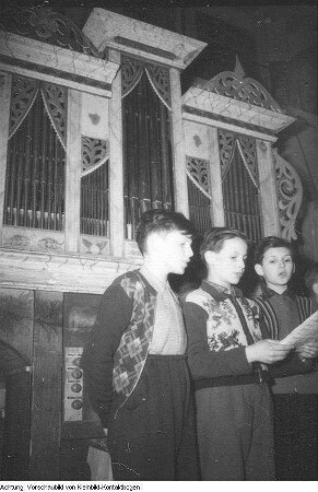 Dresden, Kreuzschüler im Orgelbaubetrieb Jehmlich, 1957