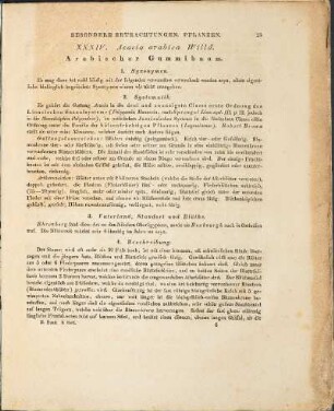 XXXIV. Acacia arabica Willd.