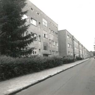 Dresden-Trachau. Wohnsiedlung der Gewobag (1928/um 1935; H. Richter). Wohnblock, Fraunhoferstraße 1/3 ff.. Straßenansicht mit Heckeneinfriedung
