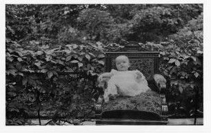 Dresden-Blasewitz, Regerstraße 22. Friedrike Apel auf einem Sessel im Garten