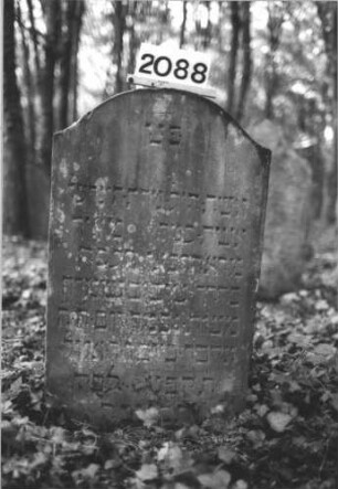 Grabstein 2088