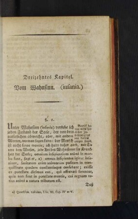 Dreizehntes Kapitel. Vom Wahnsinn.
