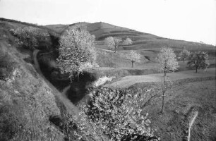 Oberbergen: Schneise bei Oberbergen