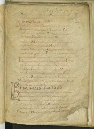 Glosae in prologis et libro Iob