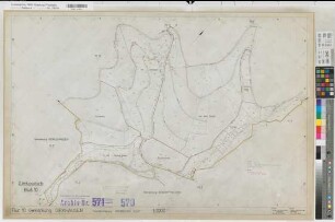 Girkhausen (Bad Berleburg), Flurbereinigung Girkhausen, Bl.10 Zuteilungskarte Flur 10