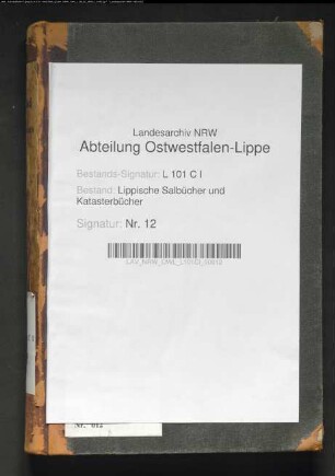 Salbuch der Stadt Detmold von 1854, Bd. 1 (Duplikat)