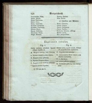 Explicatio tabulae