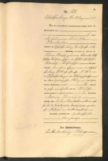 Standesamtsbuch der Stadt Aschaffenburg: Geburten 365/1900 - 184/1901