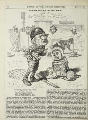 Punch's essence of parliament