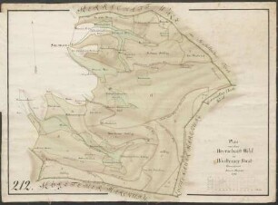 Plan von dem Herrschafft Wald im Hördtemer Forst