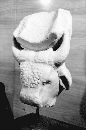 Constanta: Archäologisches Museum, Ochsenkopf