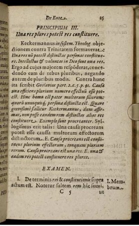 Principium III. Una res plures potest res constituere.