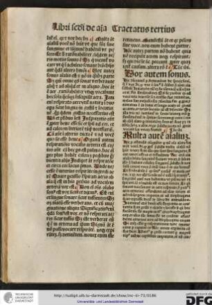 Vox autem sonus. Hic consequenter philosophus determinat de specie soni que est vox quod vox est sonus...