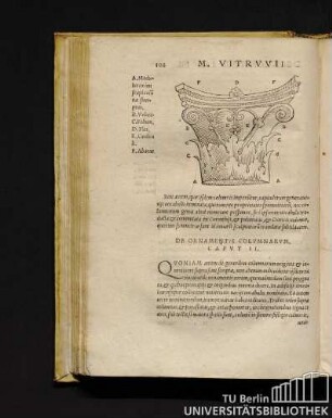 De Ornamentis Columnarum. Caput II.
