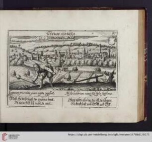A73. Creglingen an der Tauber, "Tecum habita"