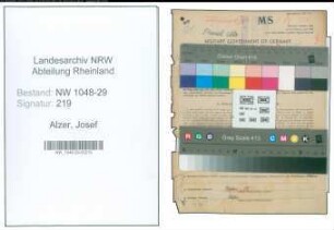 Entnazifizierung Josef Alzer , geb. 30.08.1897 (Arbeiter)