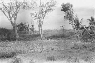 Tümpel mit Seerosen : Landschaft mit Seerosen-Tümpel und zwei Männern die daran entlang gehen. Ein Expeditionsmitglied und ein Träger