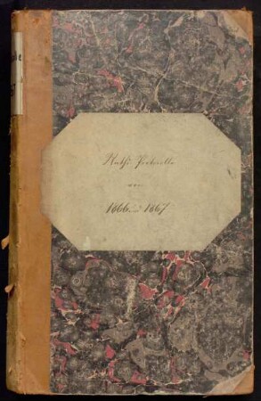Ratsprotokolle 1866-1867