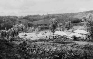 Pflanzerhaus : Gebäude einer Plantage in einer vegetationsreichen Landschaft.