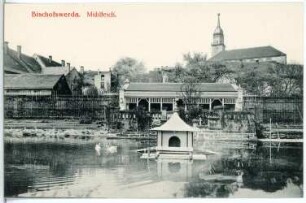 Bischofswerda. Mühlteich