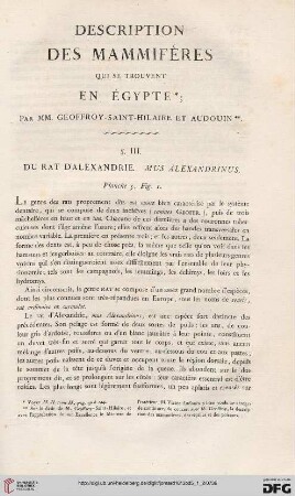 Description des mammifères qui se trouvent en Égypte