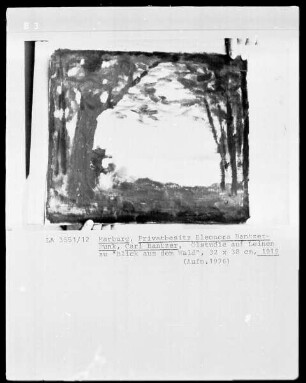 Ölstudie zu "Blick aus dem Wald"