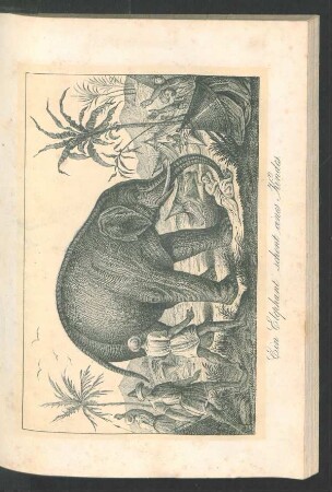 Tafel: Ein Elephant schont eines Kindes.