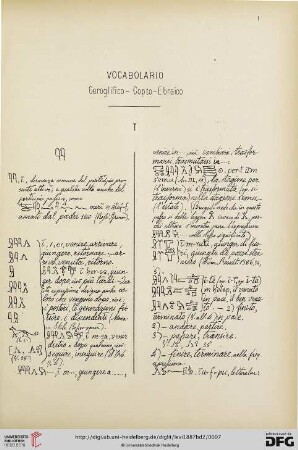 Vocabolario Geroglifico-Copto-Ebraico