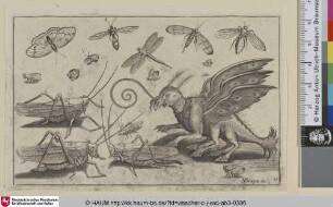 [Ein Fantasiewesen, Libellen, Nachtfalter, Grillen und ein Marienkäfer; A Fanciful Creature, Dragonflies, Moths, Crickets and a Ladybug]