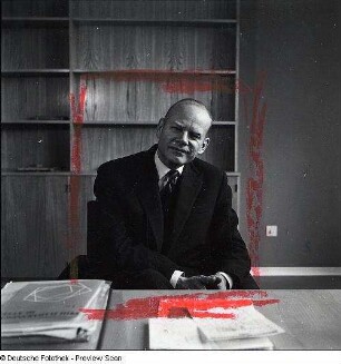 Portraitserie Wolfgang Stresemann