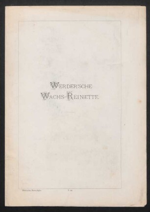 I. 95. Werder'sche Wachs-Reinette