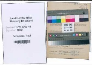 Entnazifizierung Paul Schneider , geb. 19.01.1904 (Zollsekretaer)
