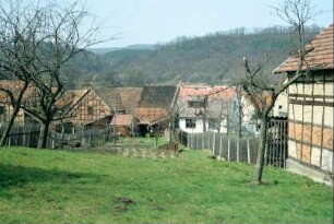 Gartenbereich: im Ort gibt es viele langgezogene, rechteckige Gärten mit Staketenzäunen, Obst, Gemüse; im Hintergrund Häuser